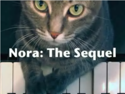 Piano Playing Cat Gives An Encore Performance